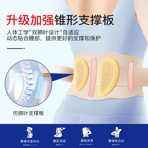 Pettneed japanischer medizinischer Gürtel Dünne Lendenscheibenvorrang Hernigung