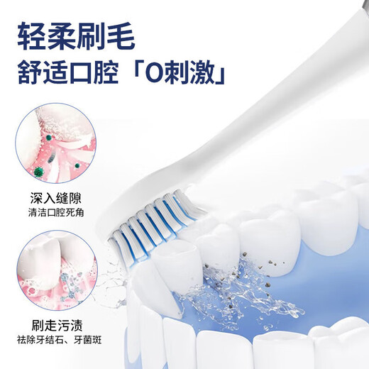 Adult rechargeable fully automatic sonic soft bristled waterproof couple set for men and women, white, with 4 brush heads + stand + storage box