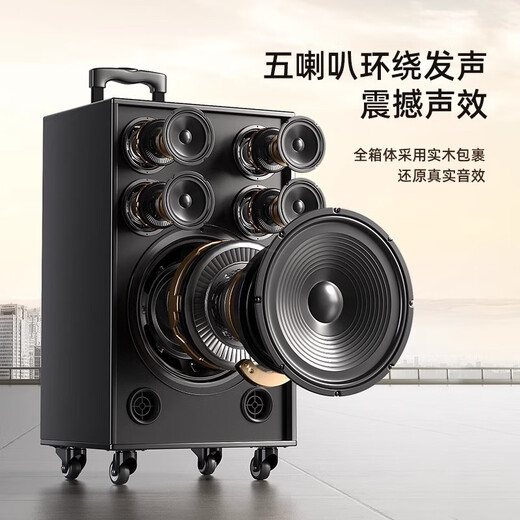 Xinke V50 square dance audio outdoor karaoke speaker portable trolley home ktv bluetooth ultra-high power performance all-in-one machine 29-inch combination (five speakers) dual microphones
