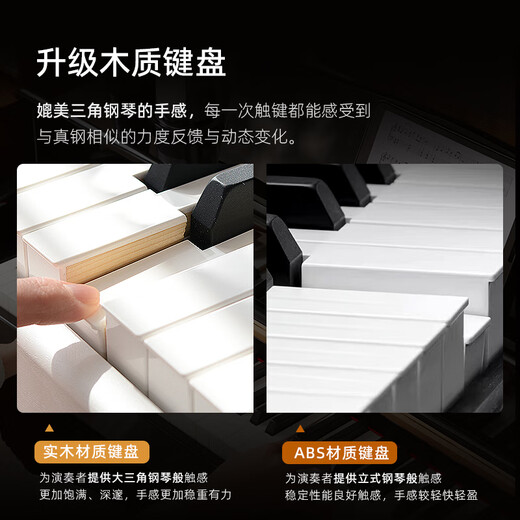 Betsy B321 Vertical Electric Piano Hammer Hammer 88 Key Solid Xylophone Key Adult Home Practice Professionnel Débutant Palais électronique Palais Palais - B321 AUDIO WOOD CLEY STYLE - Black
