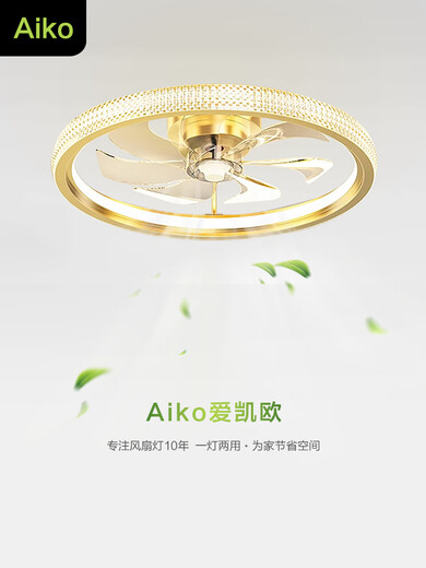 XMSJ风扇灯吊扇灯主卧室房间吸顶灯2024年新款餐厅电扇带灯具广东中山 12033金色50CM无极+摇头