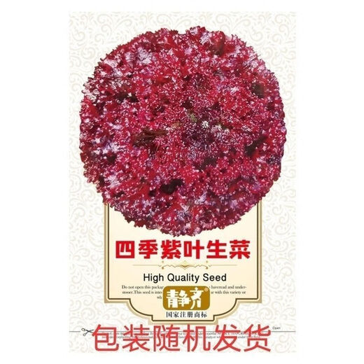 Purple leaf lettuce seeds, salad seeds, four-season planting, cold and heat resistant garden field vegetable seeds, rapeseed seeds, the best original purple leaf lettuce seeds () 1 pack, about 1600 seeds