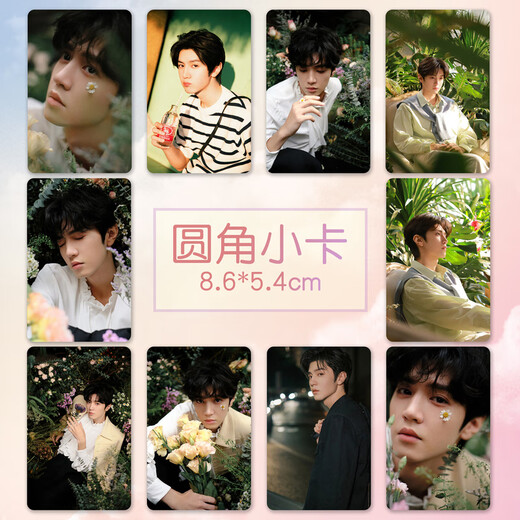 Qian Dejun Chen Zheyuan small card New star peripheral high-definition coated paper card custom laminated small photo set of 10 A (small card) 8.5X5.4cm rounded corner small card 10 pieces