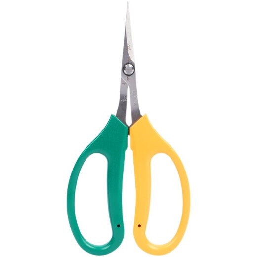 Zhang Xiaoquan's upturned grape fruit branch pruning scissors, fruit thinning, fruit pruning, pepper fruit and vegetable scissors, loquat picking, sunshine roses, Zhang Xiaoquan FL-19 two-color