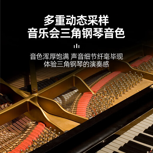 Terence P37 Electric Piano 88 Key Heavy Hammer Modern Light Luxury Piano Children Adultos Adultos Piano P37 Grano de troncos [Teclado de martillo pesado] Estándar oficial + soporte de piano original + Tres pedales + Bolsa de regalo
