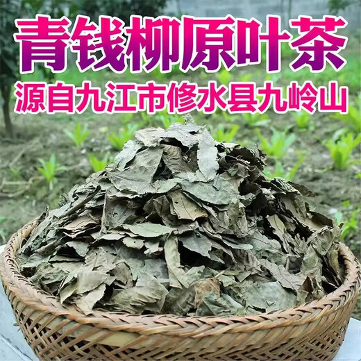 Qingqian Liuyuan Leaf thé jiangxi xiushii argent sauvage saule naturel Qingqian Willow leaf chinois Herbal Medicine Santé et thé tonique Thé à 500 ans
