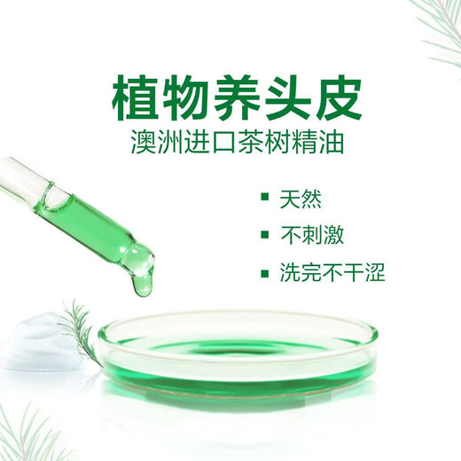 L'Oreal Tea Tree Plant Extract Shampoo 500ml*2+Hair Mask Two