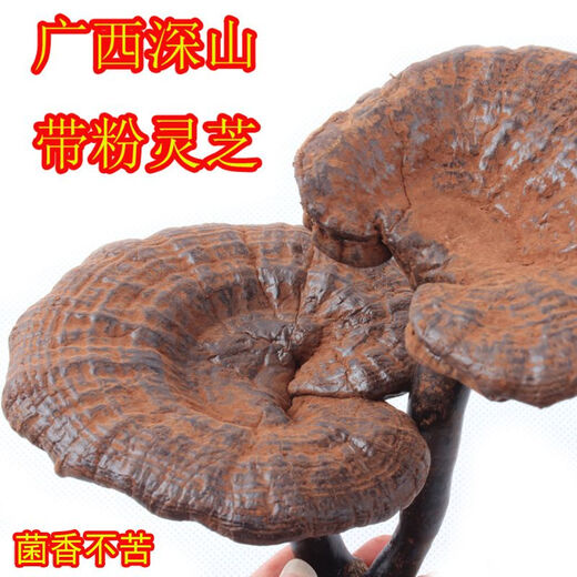Jianyi Nian Ganoderma noir sauvage 500g Guangxi Shiwanda montagne élagué Ganoderma Lucidum contenant de la poudre de spores pour soupe 500g