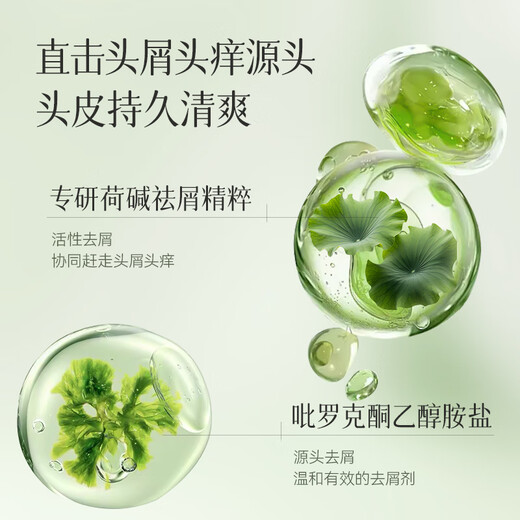 Ruyi (Ruyi) Salicylsäure-Shampoo für Männer und Frauen, um Schuppen und Juckreiz zu entfernen und Öl lang anhaltende, flauschige, silikonfreie Öl Shampoo-Goldliste Nr. 1 zu kontrollieren