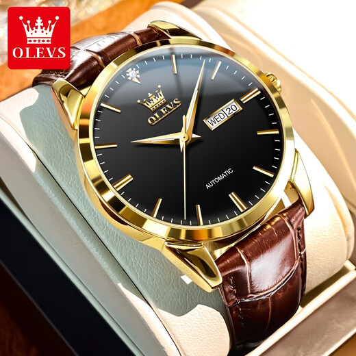 OLEVS Swiss Certified Watch Mechanical Watch Mechanical Watch Totalmente automático Moda impermeable Luminosa Business Men's Watch Olevs-6629 Men-Brown Cuero Negro Cara