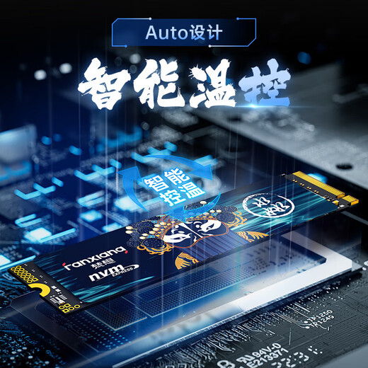 FANXIANG S500PRO/S690/S790 SSD M.2 Protocolo NVME Yangtze Storage PCIe4.0 1TB 2TB FANXIANG S790E1TB PCIE4.0 Estándar: disipador de calor + tornillo + destornillador