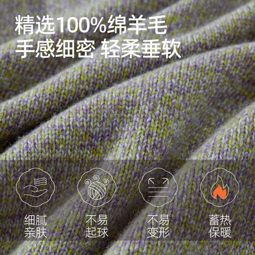 ESE-Y Yiyang 100% wool sweater for women 2025 autumn and winter new round neck versatile casual slimming thickened bottoming sweater milk coffee color M