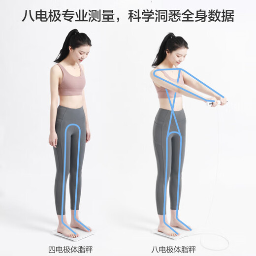 香山八电极体脂秤 体重秤电子秤人体家用称重体重计 多项身体数据监测 纯白-八电极精准