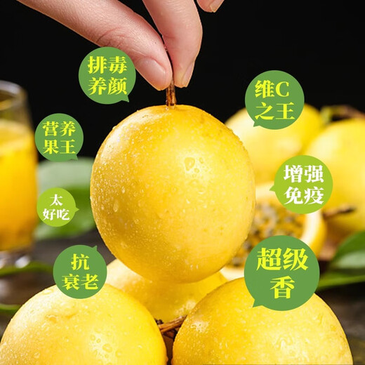 Long-cultivation Golden Passion Fruit Starry Passion Fruit Sowing Balcony Potted Golden Egg Fruit Passion Fruit Seeds in Spring and Autumn Four Seasons Golden Passion Fruit 50 Original