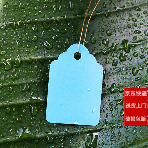 100 pieces of PVC color plastic plant tags for flowers and gardening potted plants, small seedling tags, succulent tags, 7x5cm yellow/100 pieces in a bundle