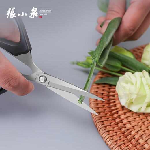 Zhang Xiaoquan Zhang Xiaoquan Schere Haushalt kleine Schere spitze Schere Büro Schreibwaren multifunktionale Edelstahl leistungsstarke Gartenarbeit Blumenkunst SSN-125