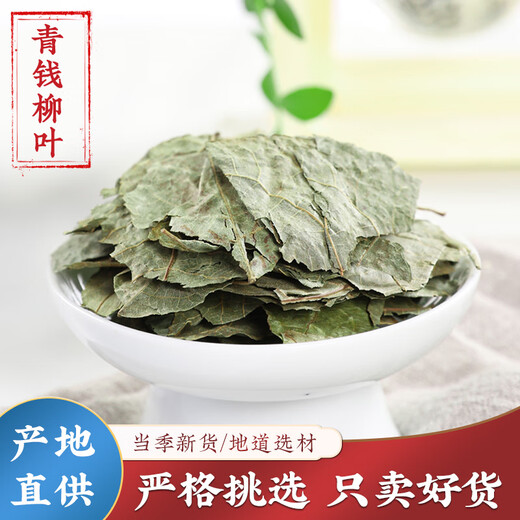 Tongrentang Homogenous Green Willow Blätter chinesische Heilmaterial