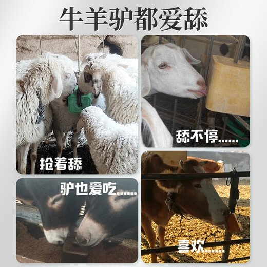 Huazhu Salt Bricks for Cattle and Sheep Licking Bricks for Sheep Salt Blocks for Cattle Nutrients and Trace Elements to Resist Diseases and Repellent and Fattening Feed Additives 20kg1 Box of Insect-Repellent Licking Bricks 40Jin Jin is equal to 0.5kg/box