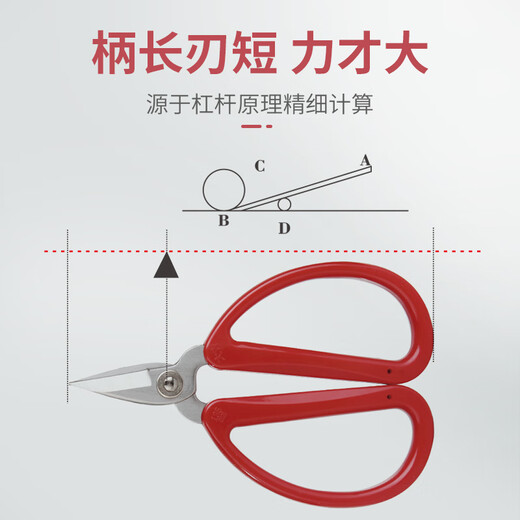 Daji stainless steel scissors, gray thick toenail scissors, electronics factory short head scissors, manicure scissors