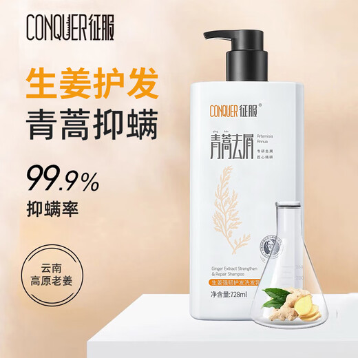 Skalpserum Artemisia Annua Anti-Dandruff Anti-Chaal-Kontrollöl Fluffy Shampoo Ingwer Haarnahrungs- und Milbenentfernung Shampoo Ingwer Stärke Haarpflege Shampoo 728ml