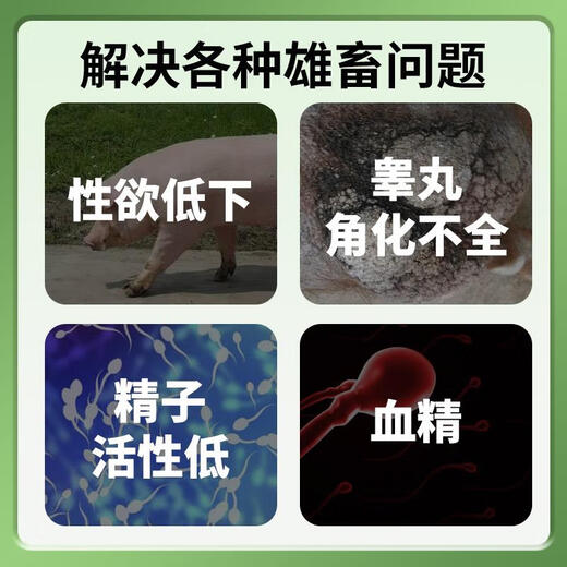 Multi-dimensional feed premix for other boars supplements vitamin nutrition to increase sperm breeding rate and extend service life. Weinuo Zhongyang 1kg/bag