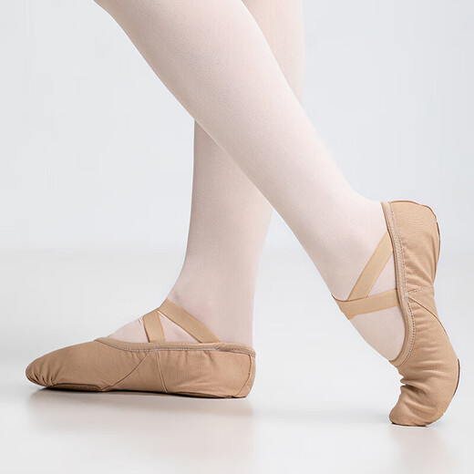 Sansha Dance Shoes Shoes Ballet The Practice Shoes Soft Shoes Micro-Slide Cat Claw Shoes S62d Pink 36