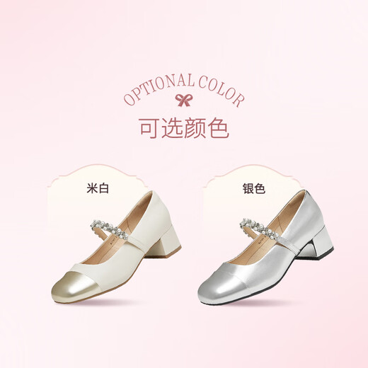Tianmeiyi Shoes Women Shoes Mall mismo tacón grueso French Retro Single Shoes Mary Zhen Shoes Spring and Autumn Style BJ761CQ4 Silver 38