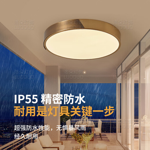 全铜别墅大门口吸顶灯防水防虫入户门灯室外门前灯户外露台阳台灯 X3889吸顶灯小号30cm/三色可调