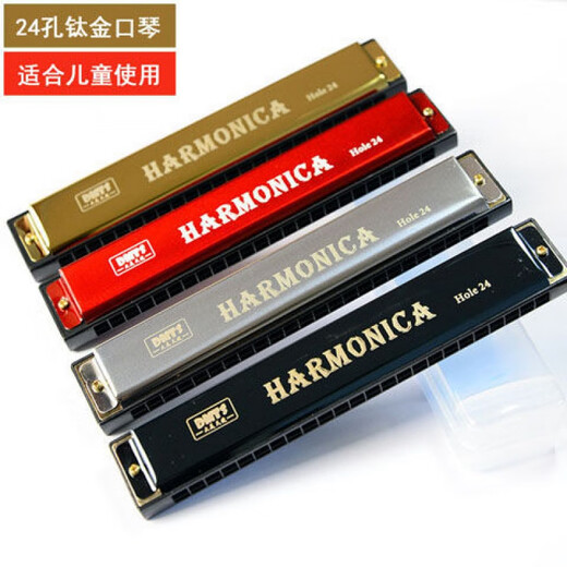 24孔C调口琴儿童乐器10孔布鲁斯初学者成人口风琴玩具118 24孔 精品钛金口琴(紫)