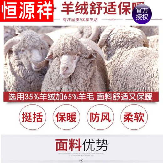 Hengyuanxiang spring and autumn middle-aged and elderly dad's wool woolen jacket men's winter velvet thickened woolen coat middle-aged men's coat light gray single style 170 yards 105-120Jin Jin equals 0.5 kg