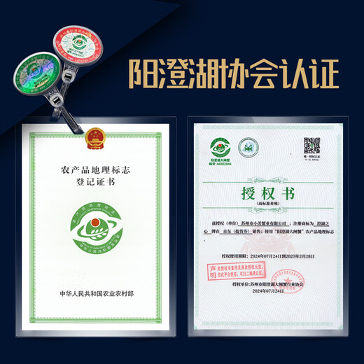 [Certificat-cadeau] CHENGHU COEUR YANGCHENGHU CRABLE HEIRY CRAB CERTIFICAT 3888 TYPE CRABLE MALLE 5.5 Two Female Crab 4 Two Five Pairs 5 Paires