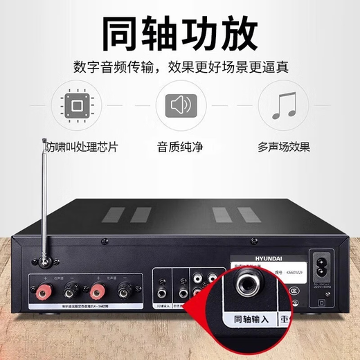HYUNDAI modern home theater ktv audio set home k song computer TV living room karaoke full set conference room card package store professional amplifier speaker equipment