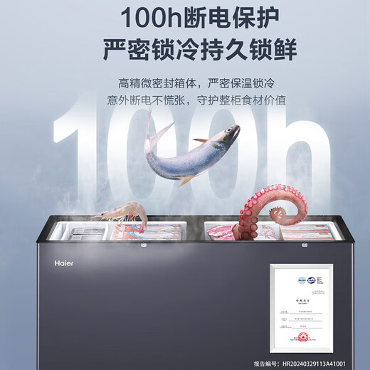 海尔（Haier）风冷无霜冰柜家用200/300/480升以上大容量零下38℃超低温柜一级节能省电大冷冻卧式冷柜国补20% 480L 无霜【大容量双开门】约冻675斤肉