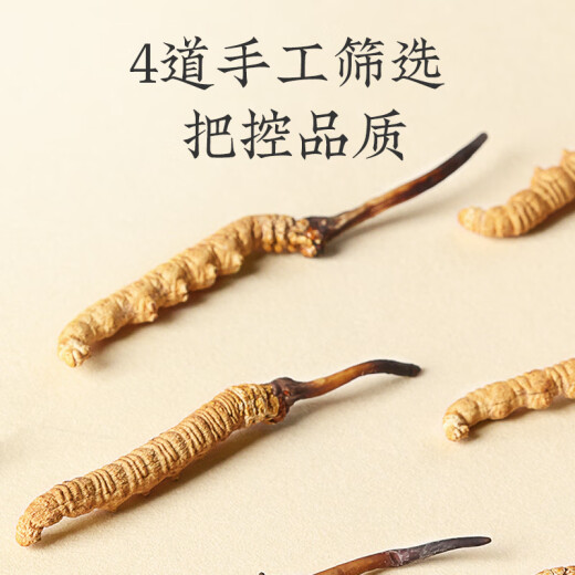 同仁堂品牌冬虫夏草约5根/g2g约10根高端营养营养滋补品长辈北京同仁堂