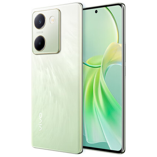 vivo Y100 超薄5000mAh电池 6400万OIS光学防抖 44W超快闪充 5G智能拍照手机 琉云青丨Y100（骁龙695） 12GB+256GB