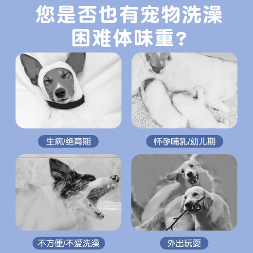 New pet wipes cleaning products disposable disposable gloves dog bathing gloves deodorizing cat ears, eyes and mouth new enlarged and thickened disposable gloves 4 packs 40 pieces