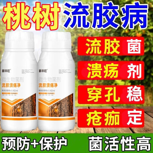 Gengfengwang peach tree gum disease special medicine peach tree gum disease one spray to clear peach tree scab disease perforation canker peach tree gum disease medicine 100ml (can be mixed with 200 Jin Jin equal to 0.5 kg of water)