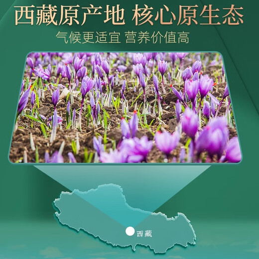 岷农人 藏红花特级西藏头茬全红长丝泡水喝西红花中药材礼物 【体验装】藏红花1盒+镊子