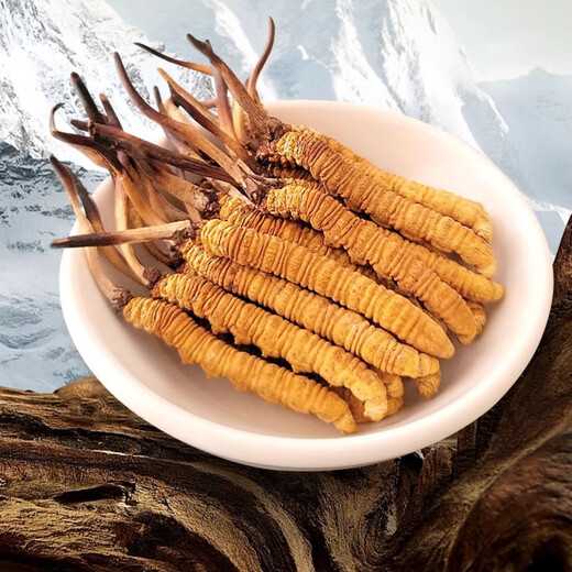 Selected authentic snow mountain cordyceps sinensis genuine first-stage fresh cordyceps 50g gift box for 4 pieces/gram dry goods Tibet Nagqu Cordyceps 50 pieces for 4 pieces/gram