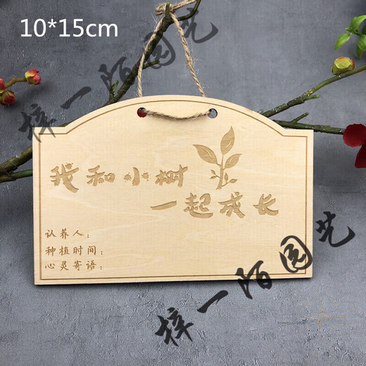 Customized wooden tags starting from 10 pieces, school Arbor Day tags, tree adoption tags, plant tags, horse racing planting tags, 10 pieces