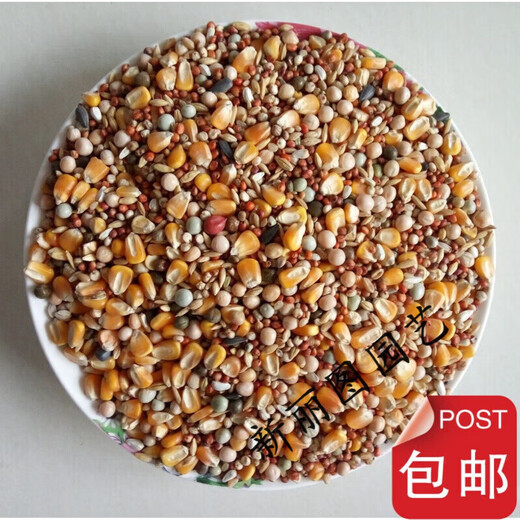 Pigeon feed with or without corn, sorghum, wheat, peas, pigeon food nutrition, pigeon food, bird food, pigeon food, letter, young pigeon, A-level clearance, 5 Jin, Jin is equal to 0.5 kg.