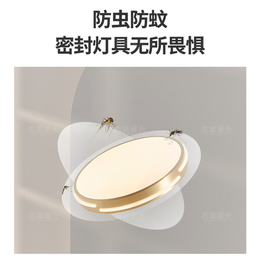 古城暖光超薄全铜吸顶灯房间卧室中式走廊过道阳台灯入户门门廊灯X3890 310MM全铜吸顶灯/三色变光