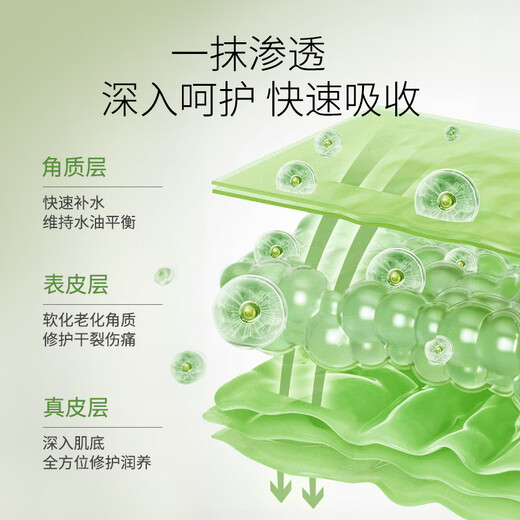 Hippidog pet paw cream for dry and cracked paws, dog cleaning and foot care cream, cat paw care cream, 7g pet care cream