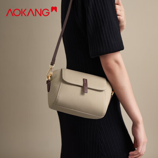 奥康（Aokang）包包女包2025新款轻奢简约时尚百搭斜跨单肩包生日礼物送老婆 大象灰