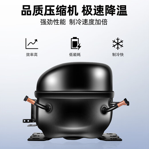 
Star display cabinet refrigerated fresh-keeping copper tube double-open door commercial fruits and vegetables large capacity Malatang a la carte beverage beer stainless steel refrigerator and refrigerator double-door copper tube refrigerated fresh-keeping cabinet 880 liters BC-980Y