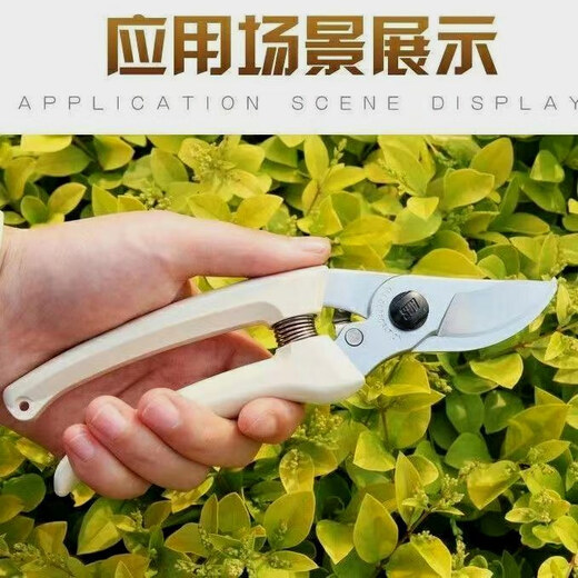 Alice pruning shears Alice 130DX imported from Japan, flower shears, gardening shears, garden scissors, fruit tree shears, original imported shears + spring