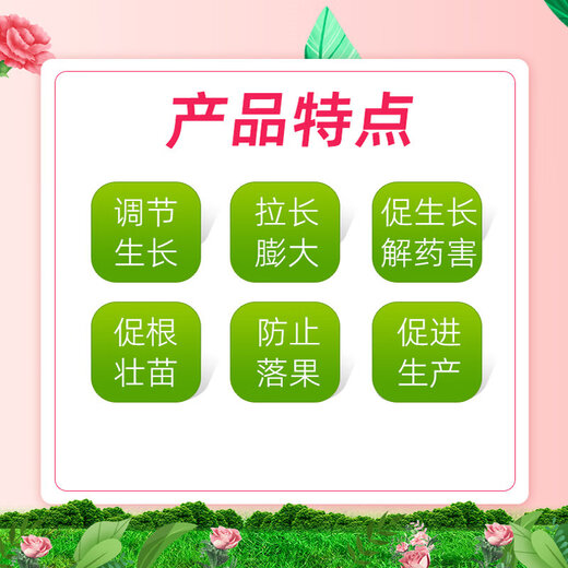 Senhuo 4% gibberellic acid growth regulating gibberellin 920 rooting, seedling, flowering, fruit expansion, fruit flowering and germination medicine 80ml*1 bottle