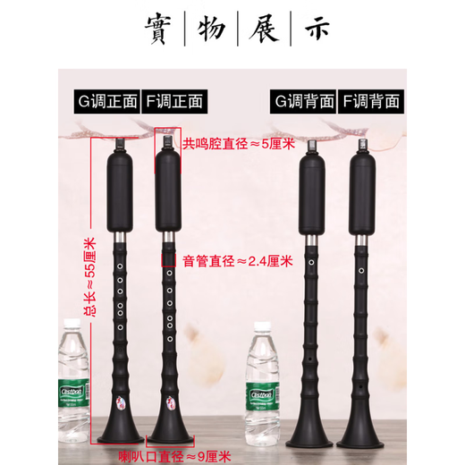 玄鹤 巴乌乐器竖吹成人演奏G调F调小学生初学入门大音量单管乐器 G调 +包+指法表