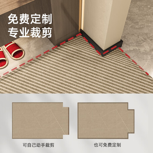 德伦卡芙（Derenkafu）品牌入户门地垫高级感进门门垫可擦免洗玄关防滑耐脏家用门口地毯 秋凌14109 120cm*180cm全新升级[高档轻奢