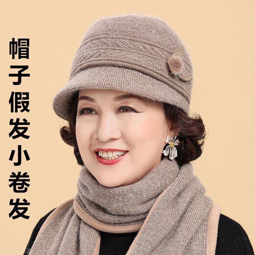 Gu Wenlun's hat with wig for middle-aged and elderly women in autumn and winter 2025 season mother's style short curly hair full head hat plus velvet versatile style (khaki hat) dark brown curly hair (hair net)